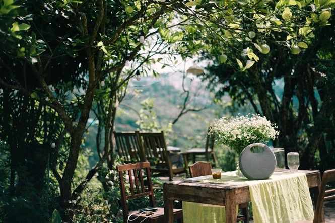 Dome House, Nh&agrave; M&aacute;i V&ograve;m