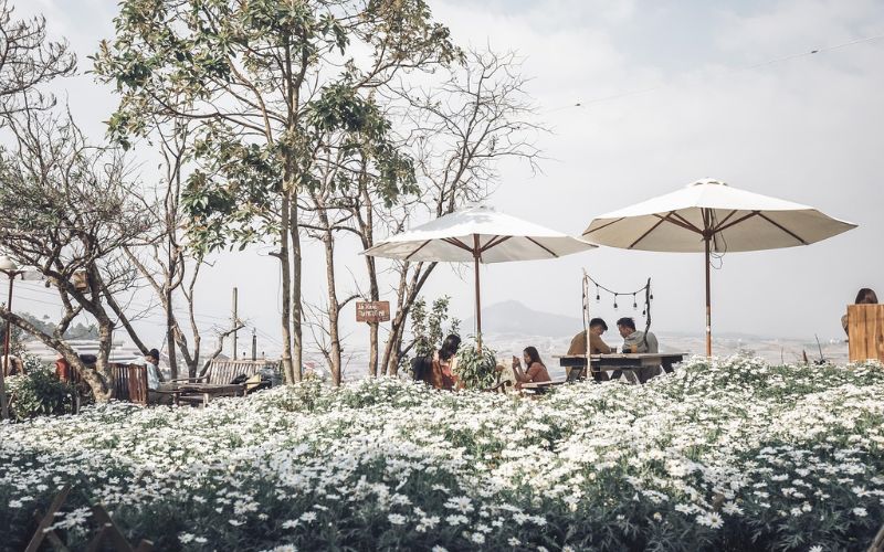 jardin-des-fleurs-dalat