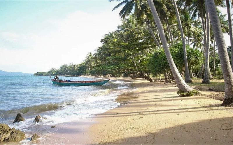 l&rsquo;&icirc;le-aux-lapins-kep