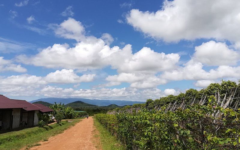la-plantation-kampot