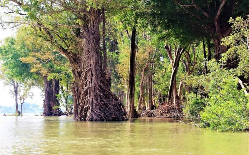 la-r&eacute;serve-de-Ramsar