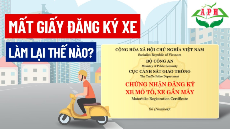 mất c&agrave; vẹt gốc, l&agrave;m lại giấy đăng k&yacute; xe