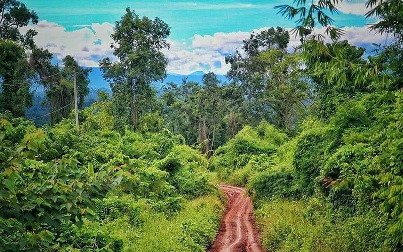 montagnes-cardamomes