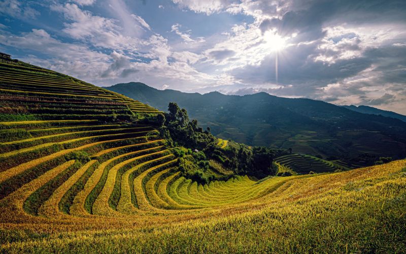 Mu cang Chai