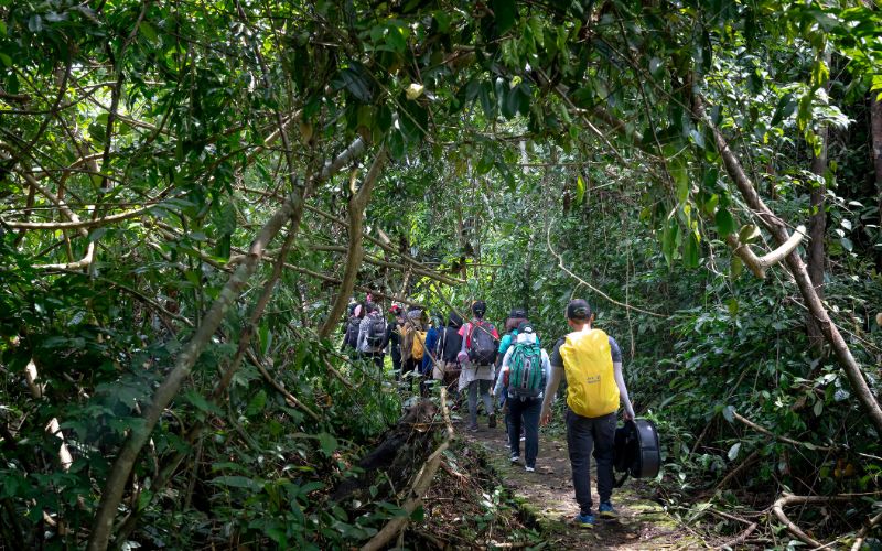 randonnee-parc-cat-tien