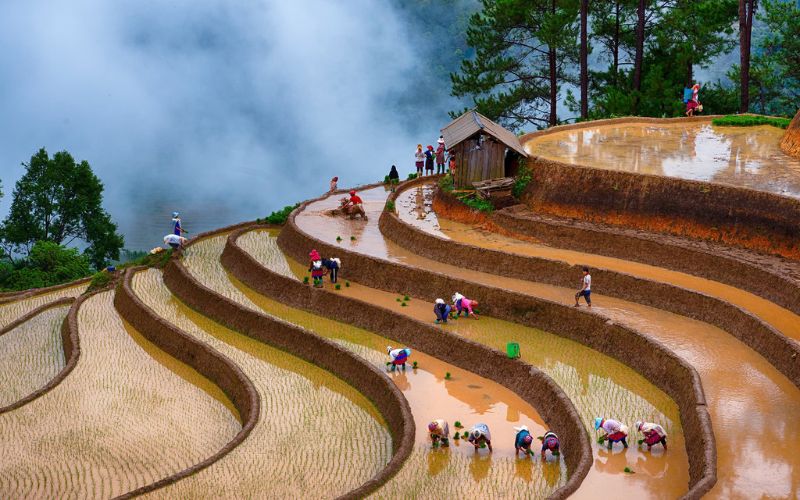 Rizi&egrave;res de Mu Cang Chai